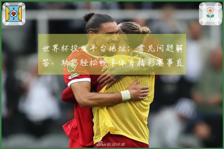 世界杯投注平台地址:常见问题解答,助您轻松畅享体育精彩赛事直播