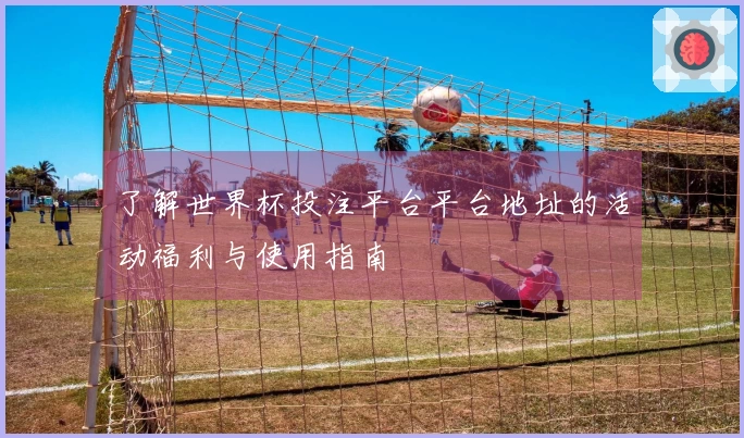 了解世界杯投注平台平台地址的活动福利与使用指南