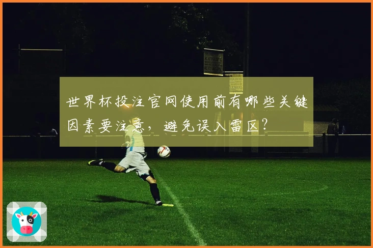 世界杯投注官网使用前有哪些关键因素要注意，避免误入雷区？