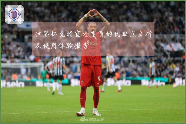世界杯竞猜官方首页的优缺点分析及使用体验报告