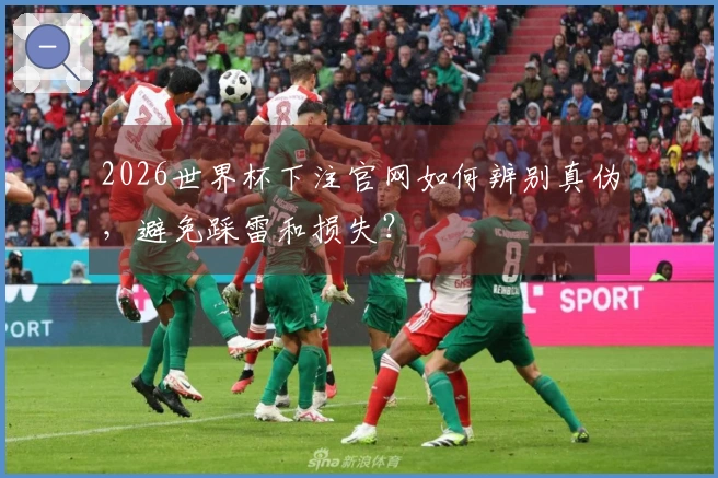 2026世界杯下注官网如何辨别真伪,避免踩雷和损失?