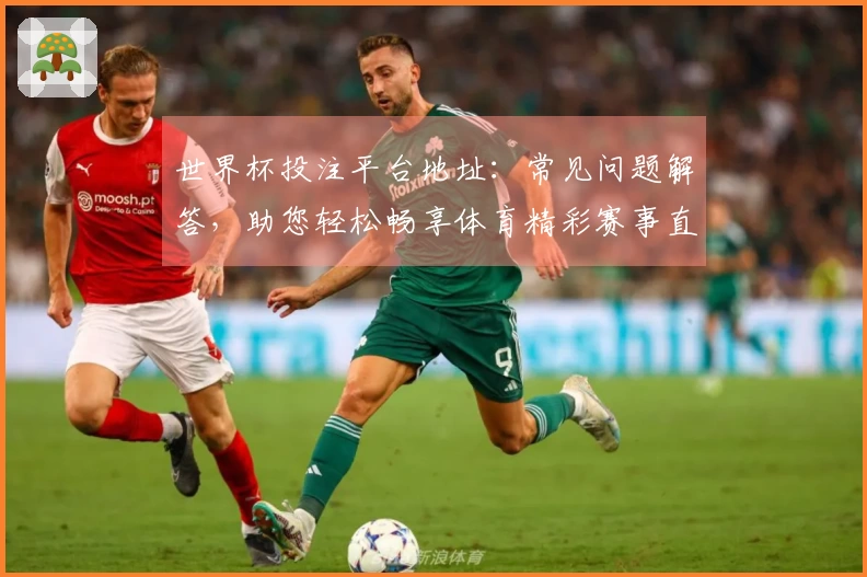 世界杯投注平台地址：常见问题解答，助您轻松畅享体育精彩赛事直播