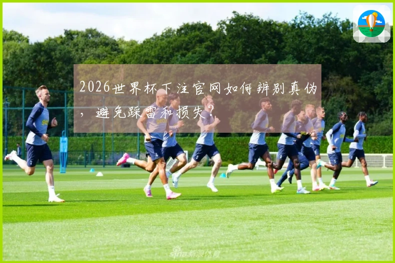 2026世界杯下注官网如何辨别真伪，避免踩雷和损失？