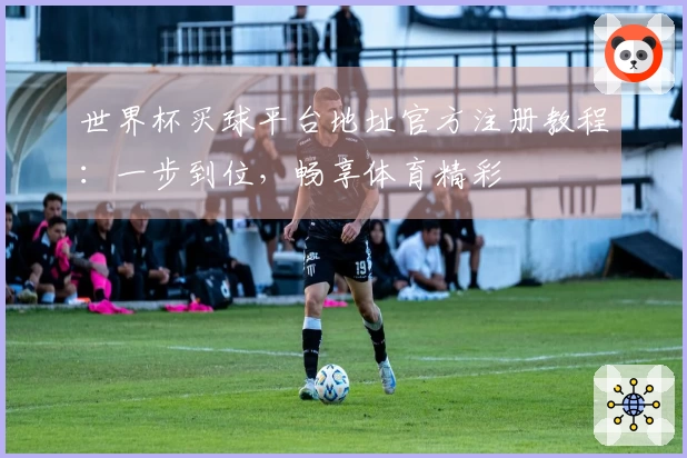 世界杯买球平台地址官方注册教程：一步到位，畅享体育精彩