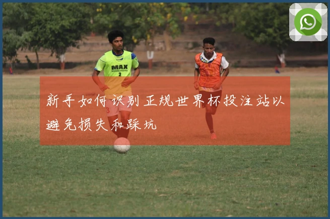 新手如何识别正规世界杯投注站以避免损失和踩坑