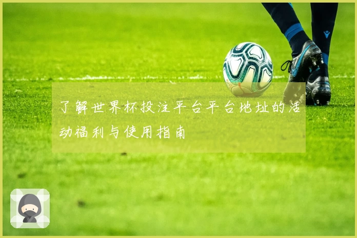 了解世界杯投注平台平台地址的活动福利与使用指南