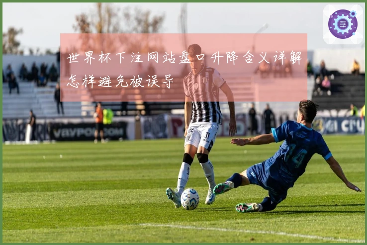 世界杯下注网站盘口升降含义详解怎样避免被误导